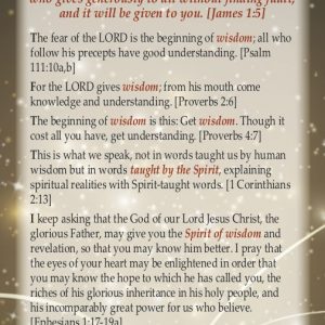 Godly Wisdom Tract Front Side
