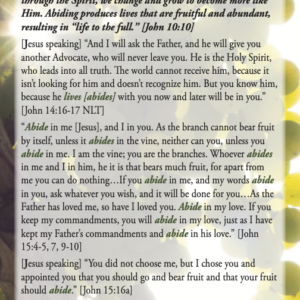 Abide in Christ gospel tract