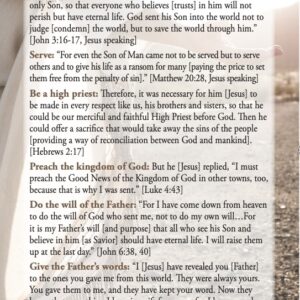 Why Jesus Came - tract